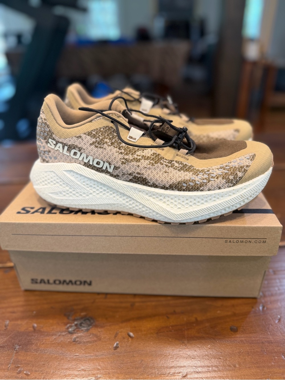 Men’s Salomon Running Shoe